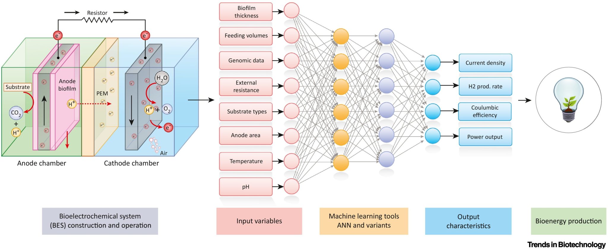 AI To Boost Up The Performance Of Bioelectrochemical Systems | SRM ...