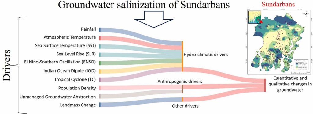 sundarbans-research